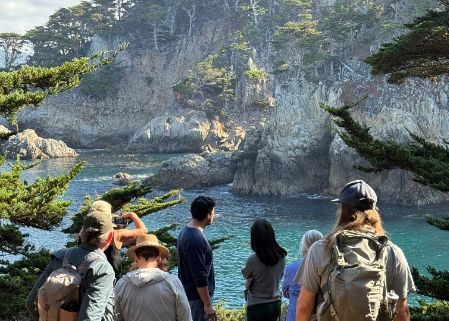 Point Lobos guided tour